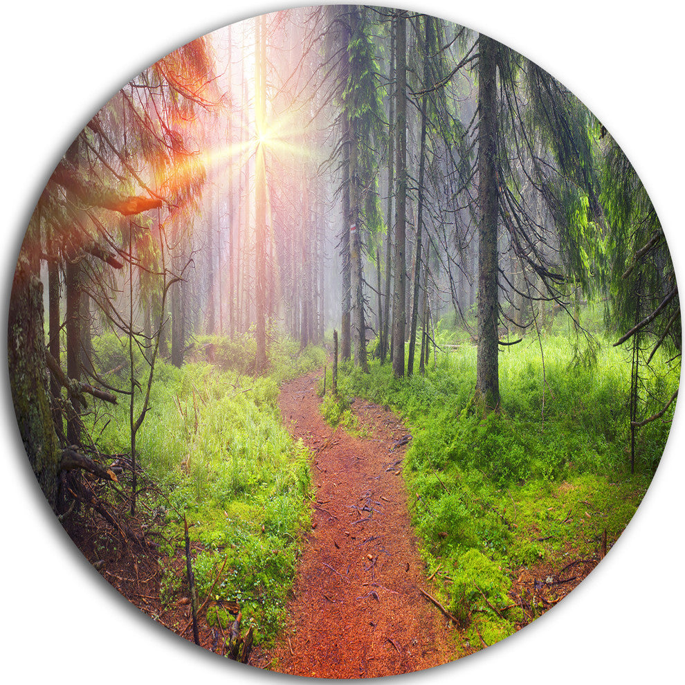 Autumn Forest At Dawn, Landscape Photography Round Wall Art, 38"