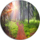 Autumn Forest At Dawn, Landscape Photography Round Wall Art, 38"