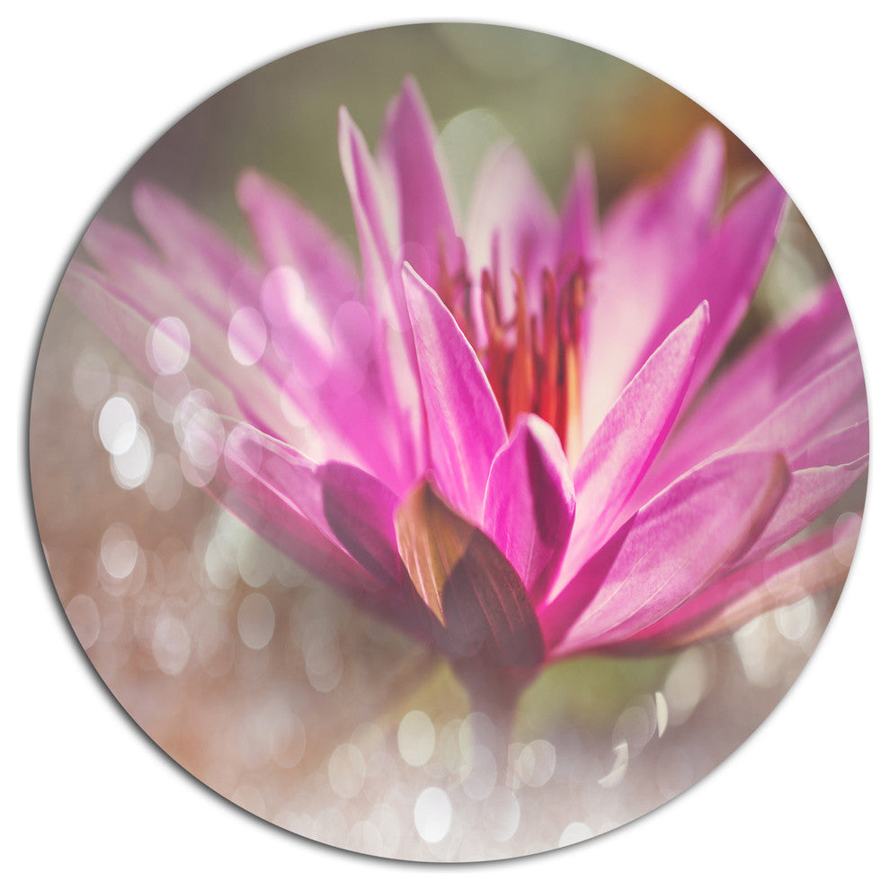 Pink Lotus On Abstract Background, Floral Large Disc Metal Artwork, 23"