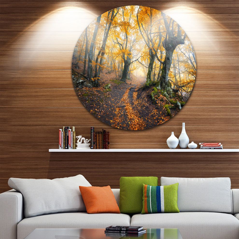 Dark Yellow Old Forest In Fog, Landscape Photo Round Metal Artwork, 38"