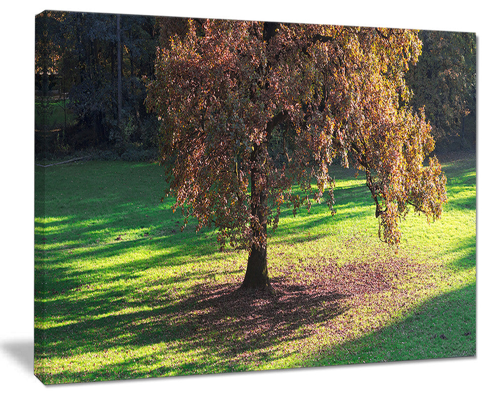 "Lonely Beautiful Autumn Tree" Wall Art, 40"x30"