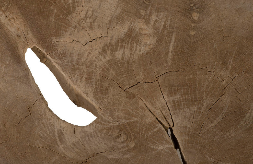 Bleached Slice Coffee Table, Iron Legs