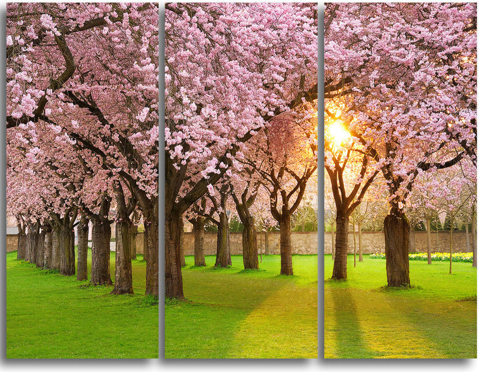 "Fascinating Springtime Cherry Scenery" Metal Wall Art, 3 Panels, 36"x28"