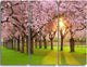"Fascinating Springtime Cherry Scenery" Metal Wall Art, 3 Panels, 36"x28"