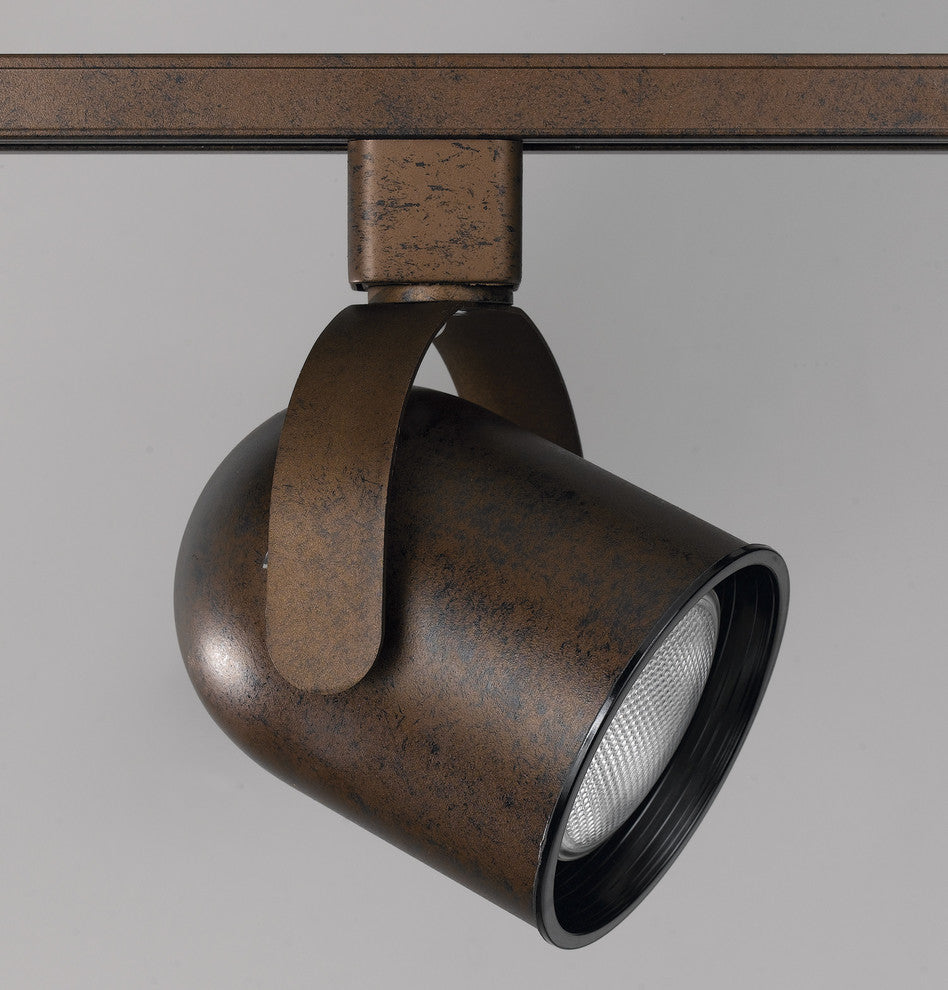 Line Voltage Fixture, Dark Bronze Finish