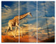 "Giraffe on Sand Dune" Photography Metal Wall Art, 3 Panels, 36"x28"