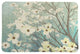 Laural Home Dogwood Blossoms Memory Foam Rug