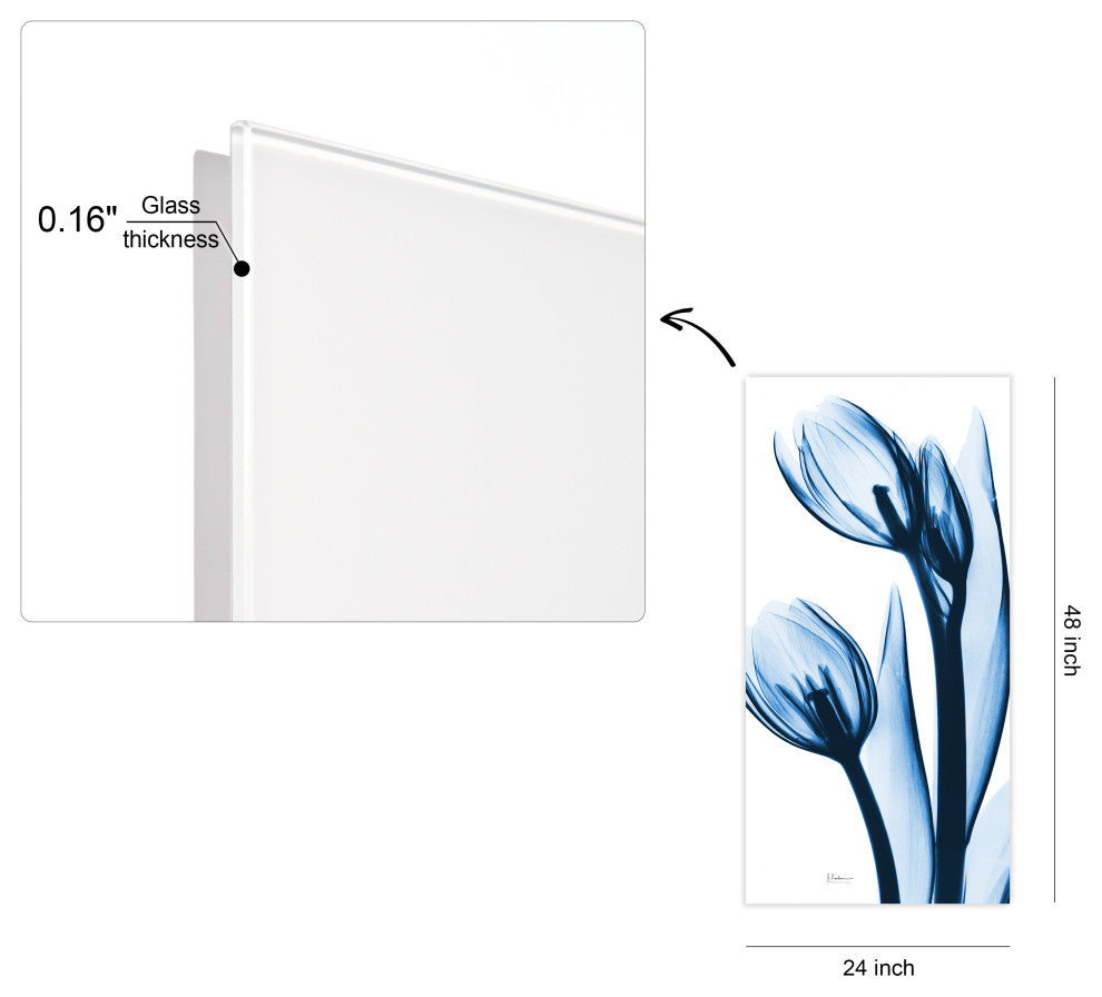 "Two Blue Tulips" Frameless Free Floating Panel Graphic Wall Art, 48"x24"
