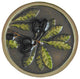 Olive Branch Knob Hand-Tinted Antique Brass, Brass Hand Tinted