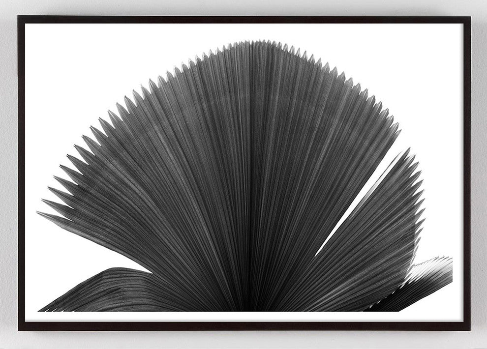 The Palms #5, 30"x20", Unframed