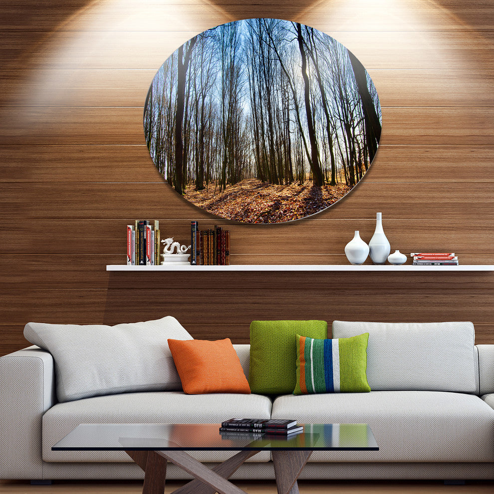 Dark Trees In Forest At Sunrise, Forest Round Wall Art, 36"