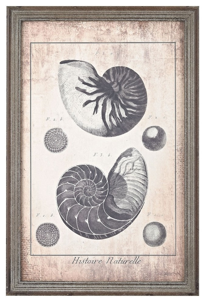 Sterling 3138-245 Shell Print, Blue