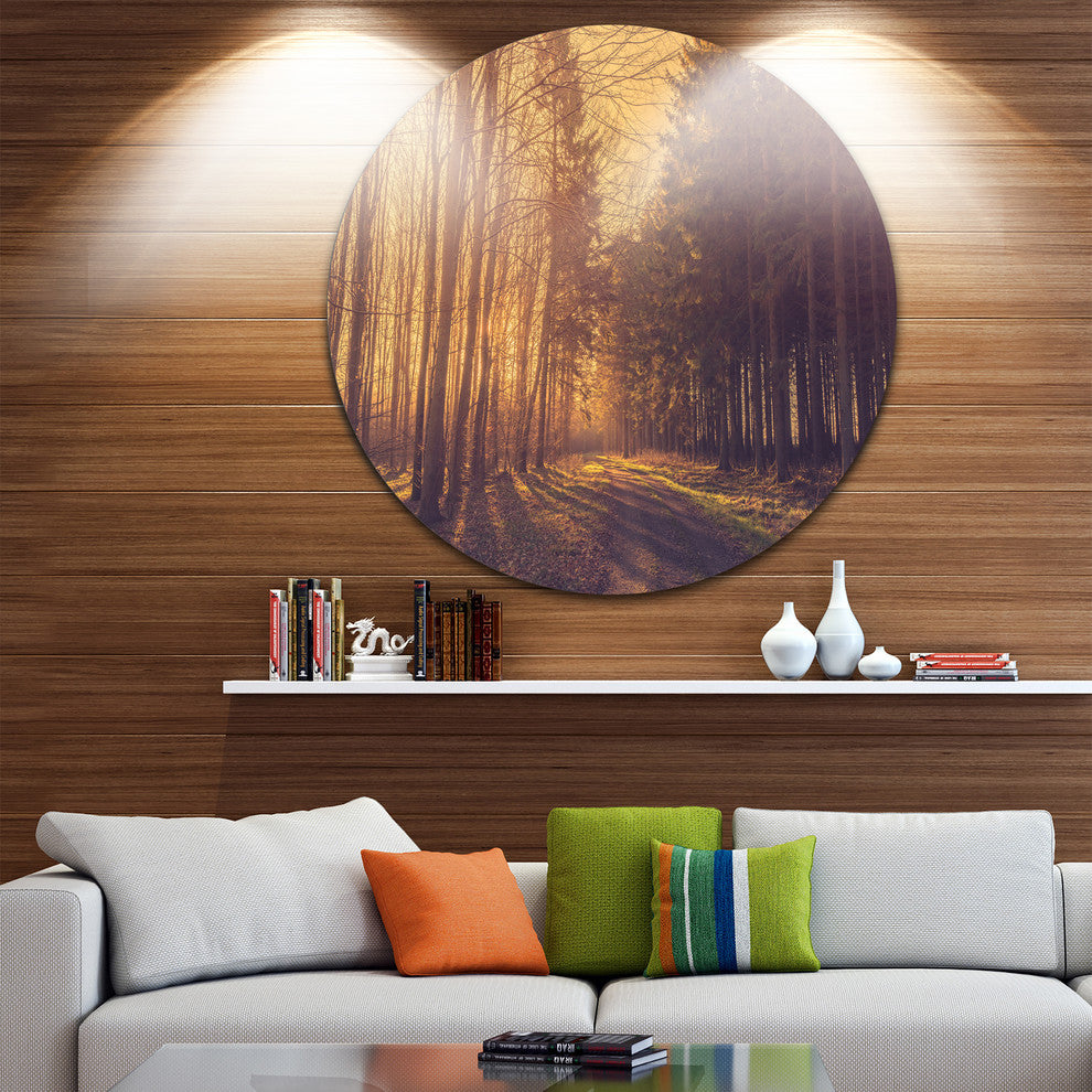 Pine Tree Forest By Road, Landscape Photo Large Disc Metal Artwork, 36"
