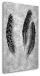 "Feather B - W - 2" By Alan Blaustein, Giclee Print on Gallery Wrap Canvas