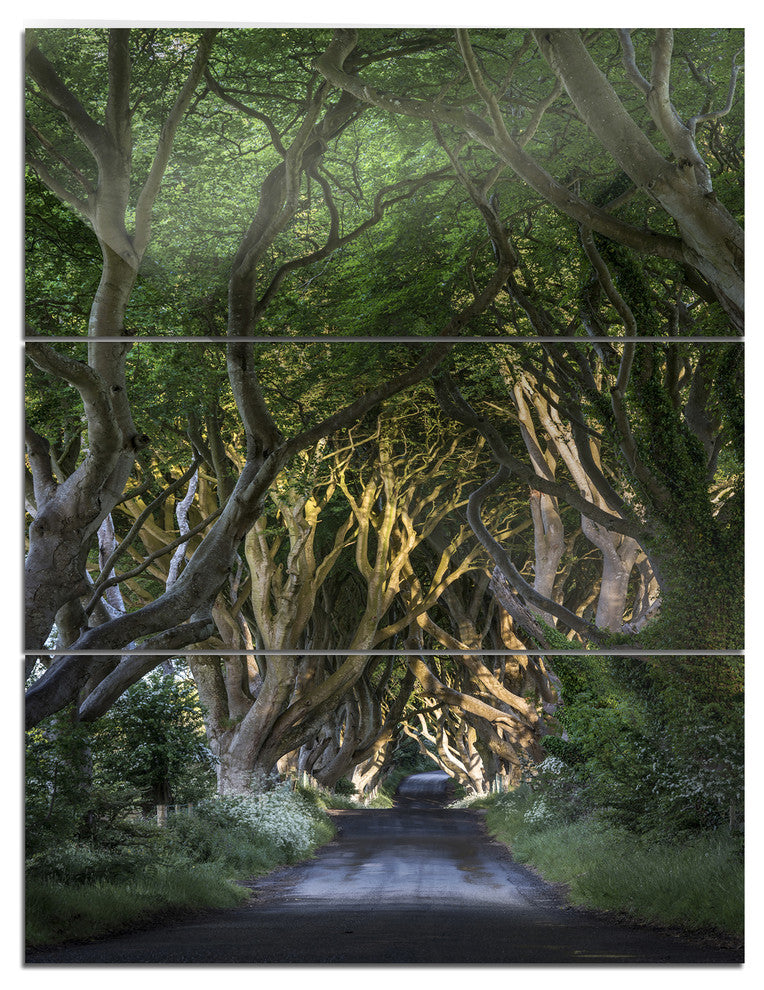 "The Dark Hedges" Photography Metal Wall Art, 3 Panels, 28"x36"