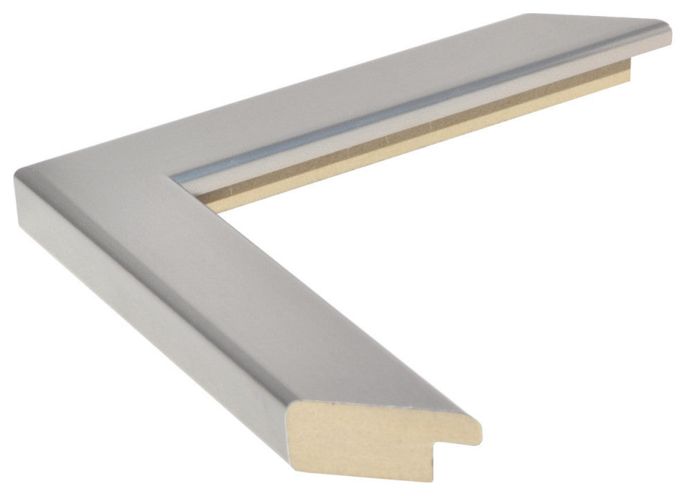Ellis Framed Wall Mirror, Brushed Chrome, 36"x54"
