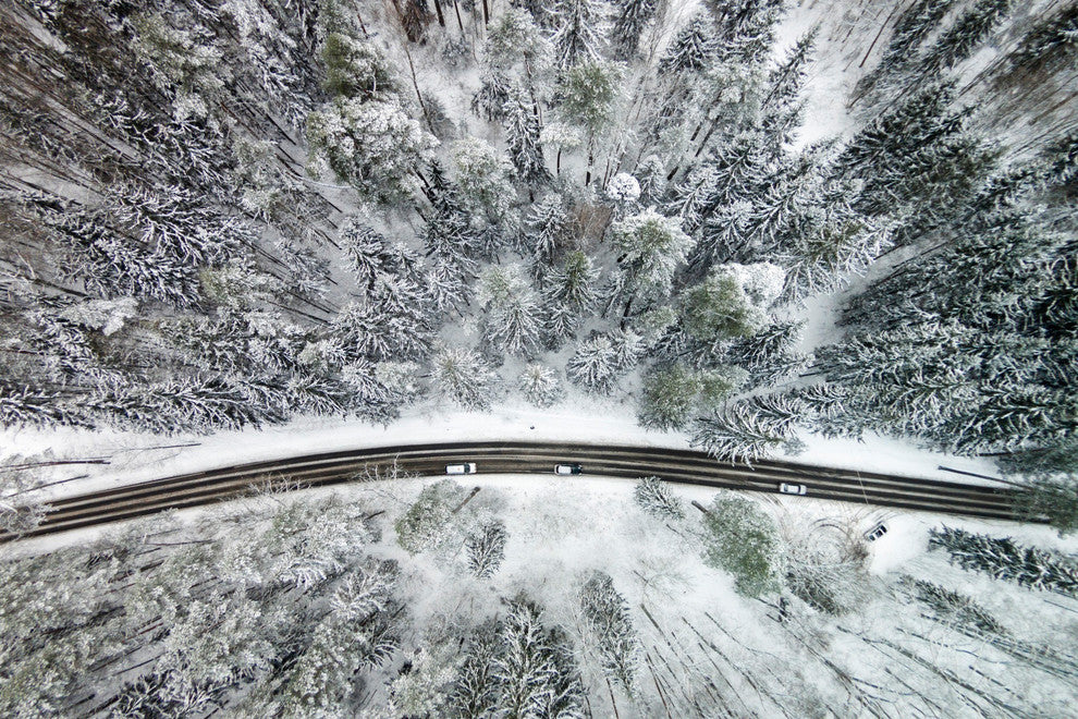 "Icy Firs" Print on Canvas by Karolis Janulis
