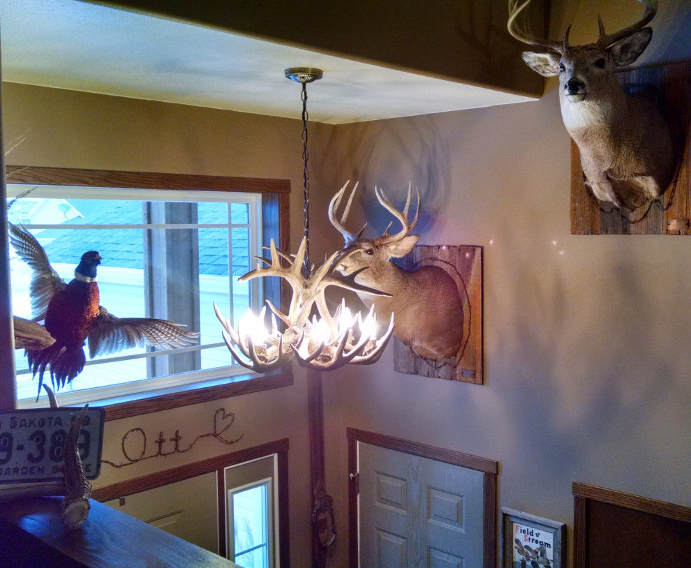 Whitetail Deer Single Tier Antler Chandelier Light, Large, Rawhide Shades