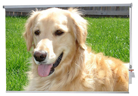 "Golden Retriever" Artwork, 4' Shade, Partial Sheer