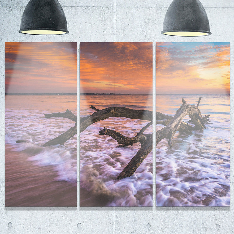 "Huge Branch of Tree at Seashore" Beach Metal Wall Art, 3 Panels, 36"x28"