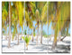 "Palm Trees" Photography Glossy Metal Wall Art, 3 Panels, 36"x28"