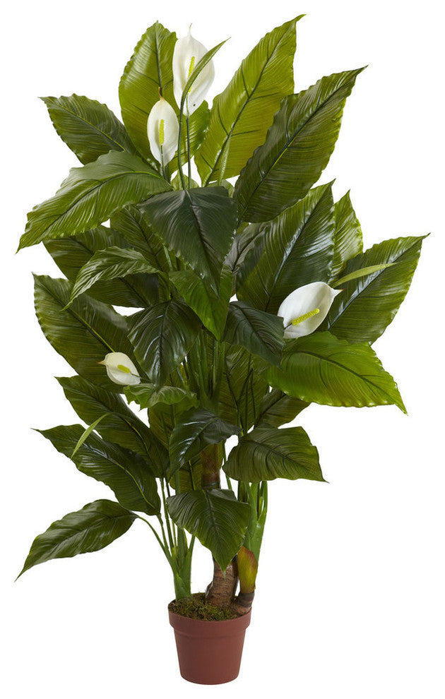 4.5' Spathyfillum Real Touch Plant