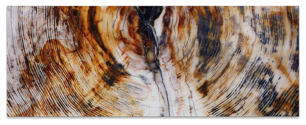 "Impact B" Abstract Wall Art Frameless Free Floating Tempered Glass