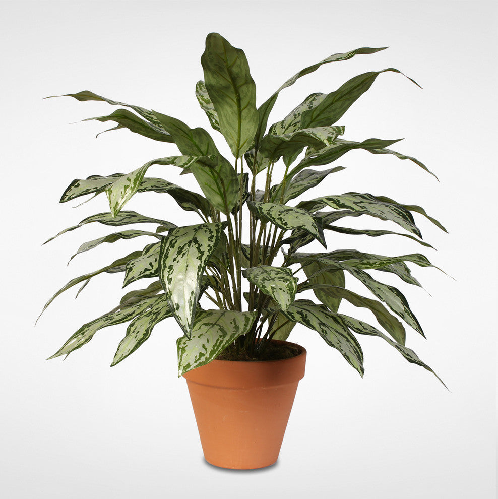 Green and Silver Artificial Silver Queen Silk Plant in Clay Pot