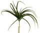 13" Tillandsia Spray, Set of 3
