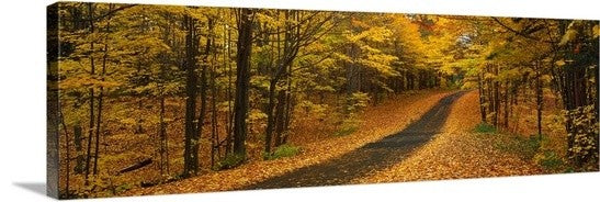 "Fall Road Emery Park NY" Canvas Art, 36"x12"x1.25"
