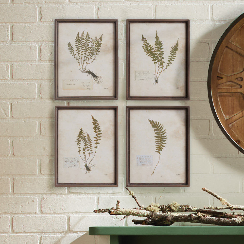 4-Piece Petite Frond Print Set