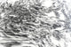 Sandprints Designer Series No.3, 24"x16"