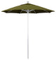 California Umbrella Venture Series, Palm