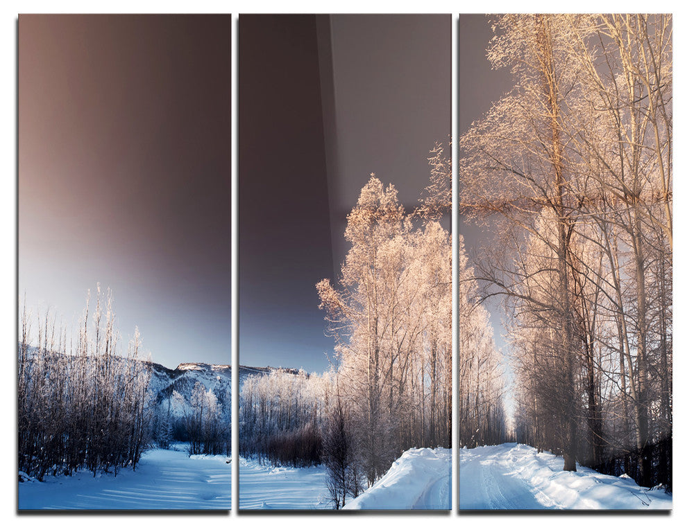 "Futuristic Winter Sky" Photo Metal Wall Art, 3 Panels, 36"x28"