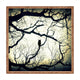 Shannon Clark Mysterious Woods Square Tray Square Tray