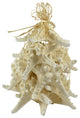 White Knobby Starfish, Set of 12