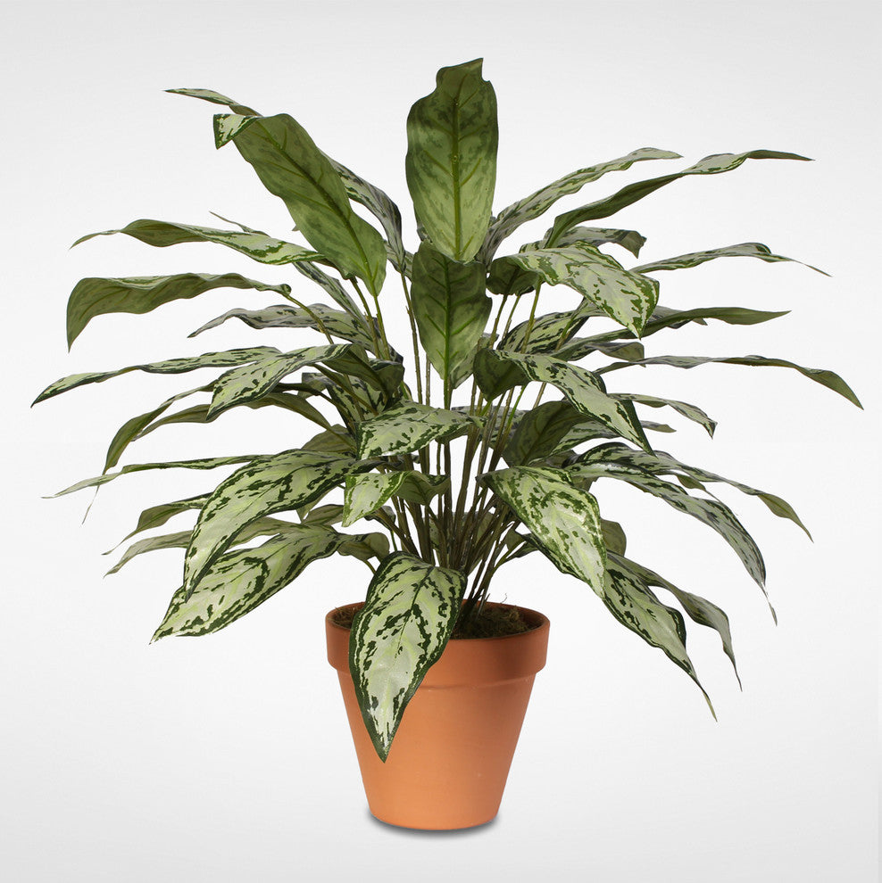 Green and Silver Artificial Silver Queen Silk Plant in Clay Pot