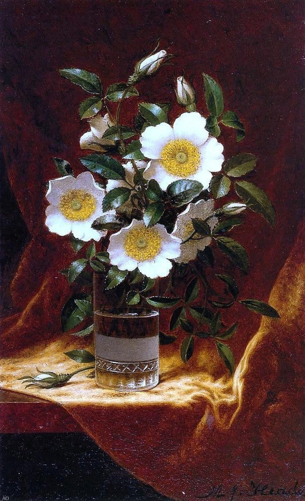 Martin Johnson Heade Cherokee Roses in a Glass Premium Canvas Print
