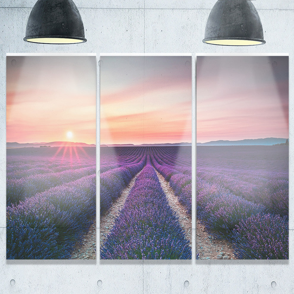 "Endless Rows of Lavender Flowers" Metal Wall Art, 3 Panels, 36"x28"