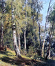 Ivan Ivanovich Shishkin Birch Grove Premium Canvas Print