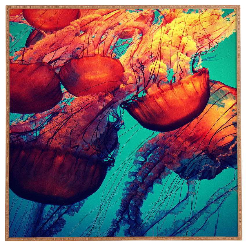 Deny Designs Krista Glavich Jellyfish 7 Framed Wall Art