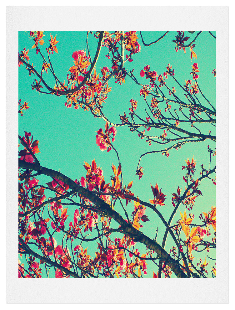 Deny Designs Shannon Clark Summer Bloom Art Print