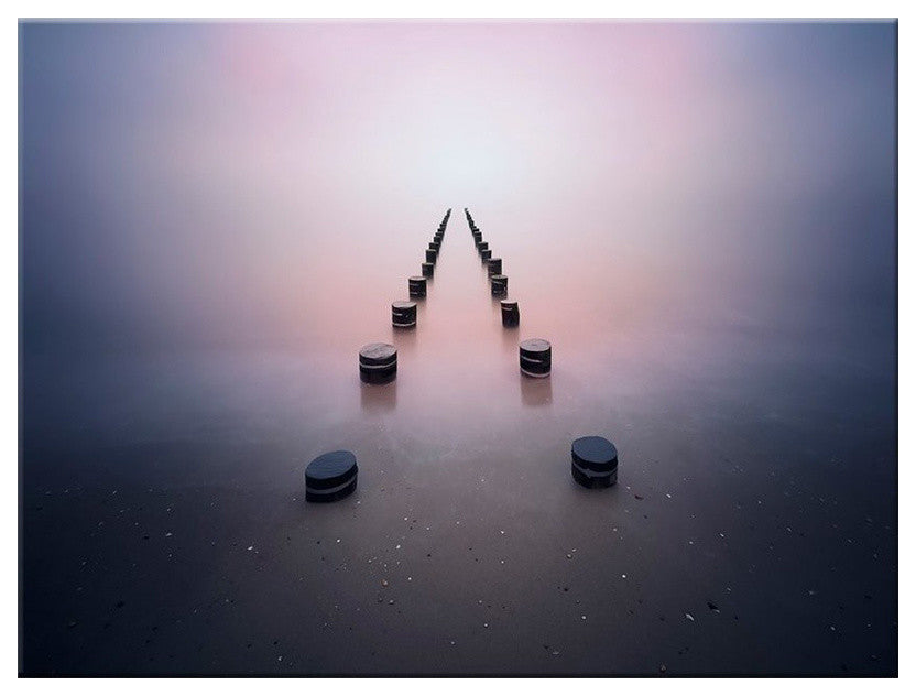 Alone in the Silence' Canvas Wall Decor