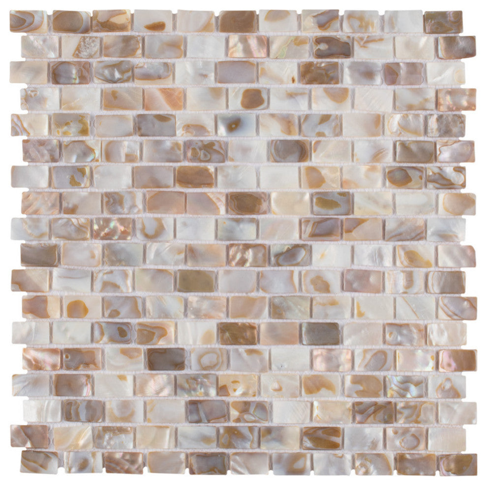 Conchella Subway Natural Natural Shell Wall Tile