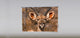 "Buck" Artwork, 5' Shade, Blackout, Right