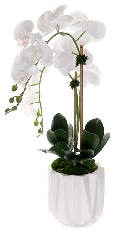 Real Touch Phalaenopsis Orchids in White Dimensional Pot