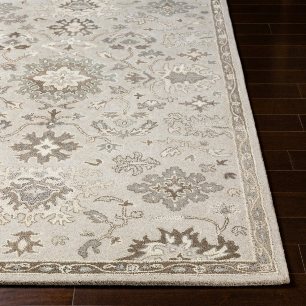 Surya Caesar CAE-1197 Traditional Area Rug, Taupe, 10' x 14' Rectangle