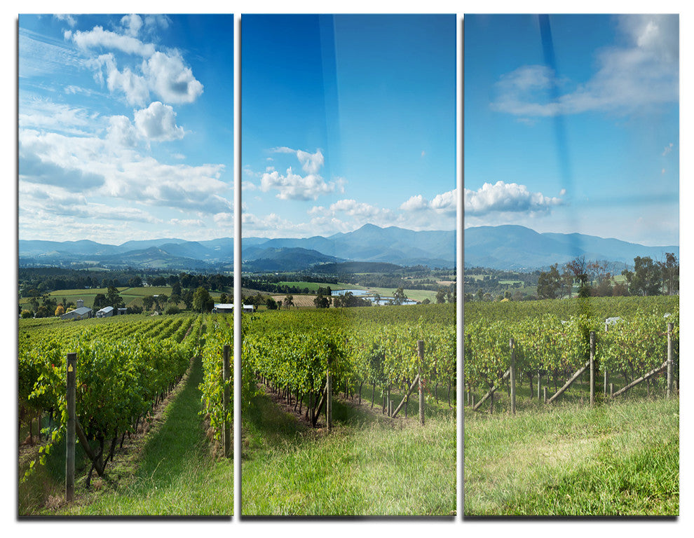 "View of the Yarra Valley Melbourne" Photo Metal Wall Art, 3 Panels, 36"x28"