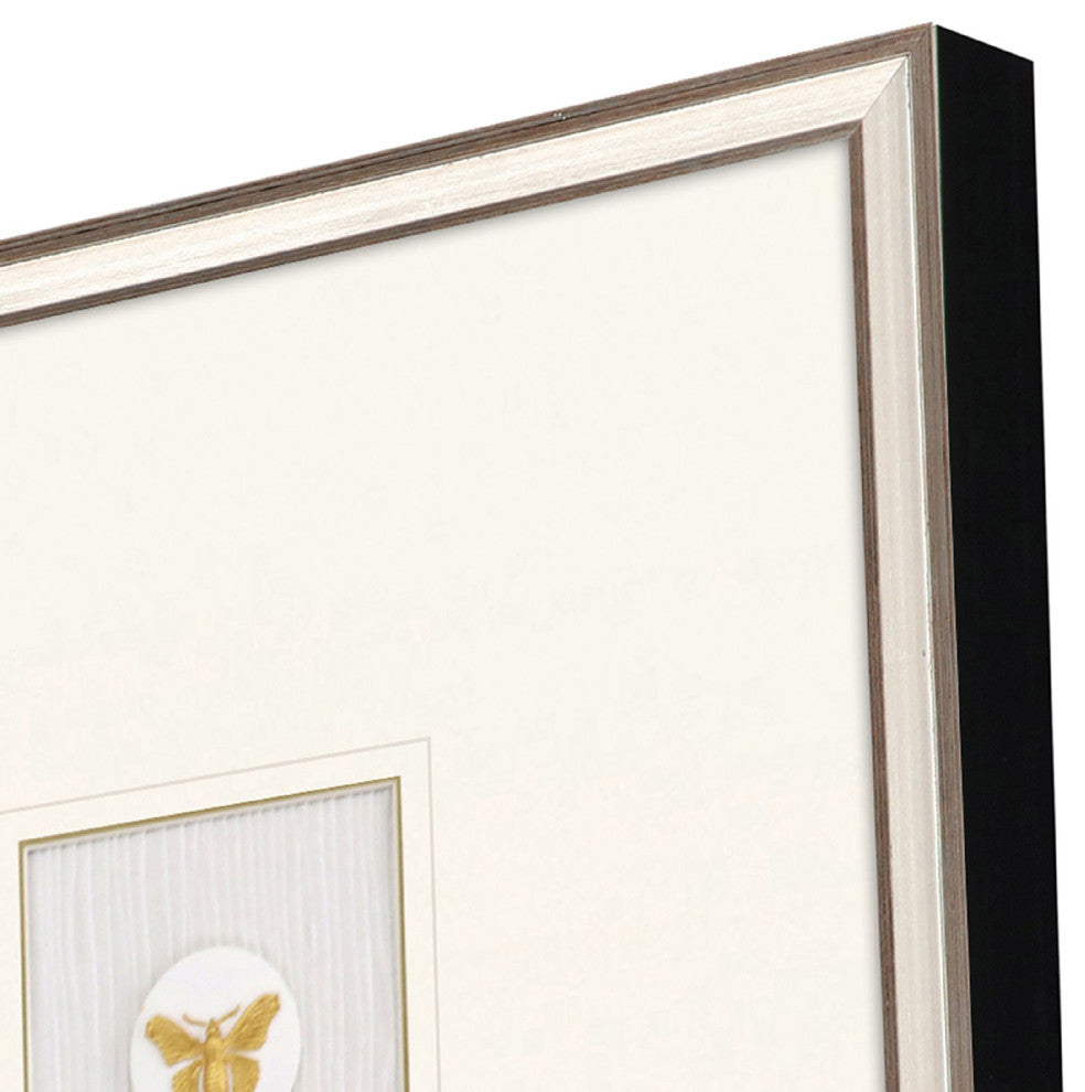 Butterfly Intaglio Framed Art