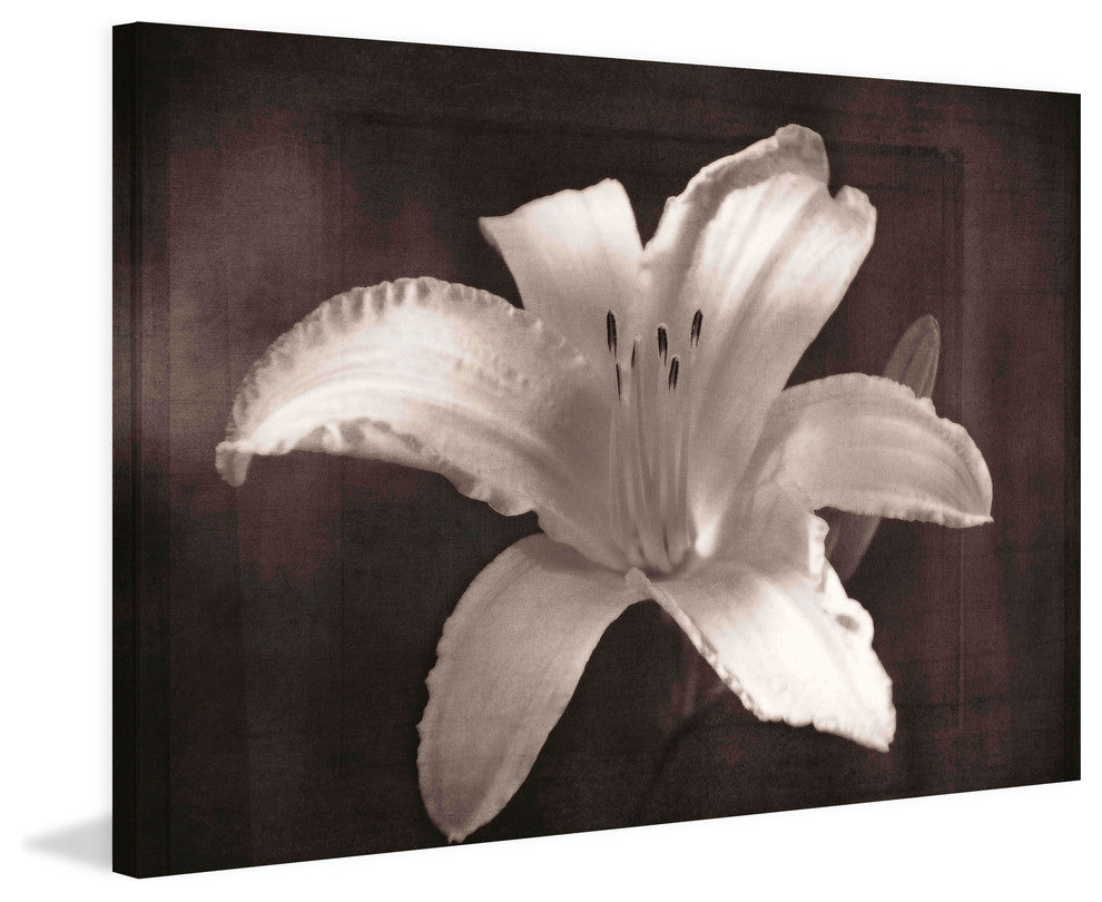 "Fully Exposed" Painting Print on Canvas by Robertson